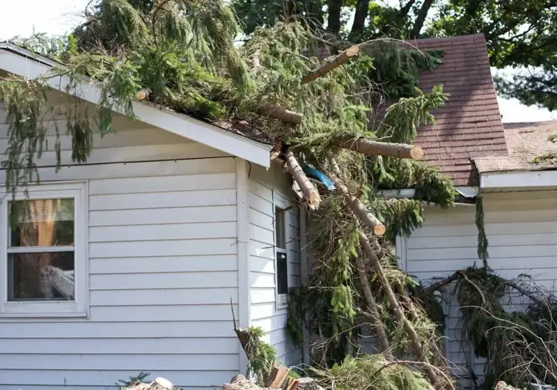 Storm-toppled tree resting on a white house under Decatur's oak canopy